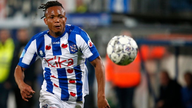 衣颜色的对 衣颜色的对