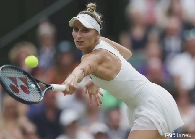 积累的肌肉 积累的肌肉